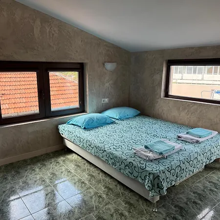 морска звезда 아크토폴