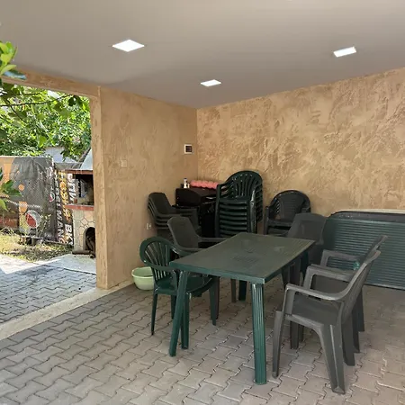 морска звезда 아크토폴